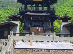 -大唐贡茶院