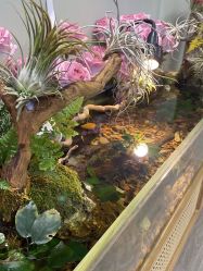 点击看大图 -Lumi露米·美甲美睫品质店