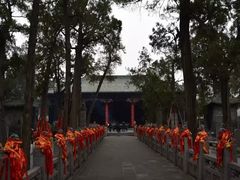 -关林