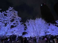 -西北湖绿化广场