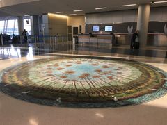 -达拉斯 沃斯堡国际机场