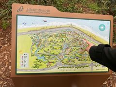 -上海滨江森林公园