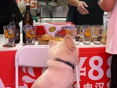 -VT101维多利广场