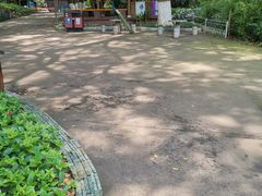 -柳州市动物园