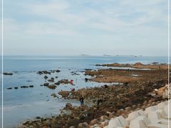 -烟台海昌鲸鲨海洋公园