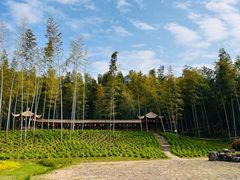-宜兴龙背山森林公园