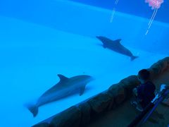 -横琴湾水世界