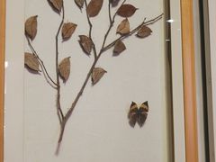 -陕西自然博物馆