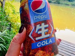 -广州市流溪河国家森林公园