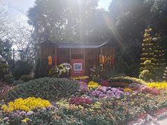 -南山植物园