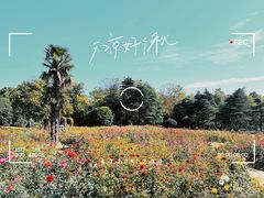 -上海滨江森林公园