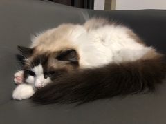 -零纪元VR体验馆·桌游(黄浦店)