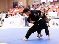 -菠萝格斗巴西柔术训练馆