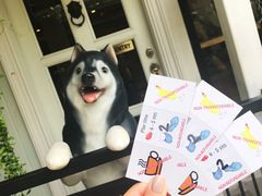 -TrueLove @ Neverland (Husky Cafe)
