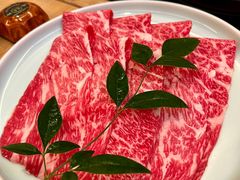 -然锅料理