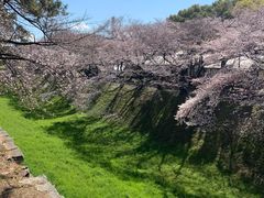 -名古屋城