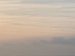 -北岐滩涂
