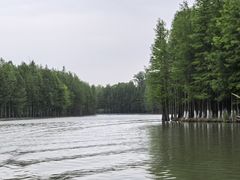 -苏州太湖国家湿地公园