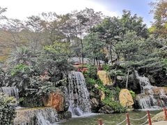 -广州市帽峰山景区