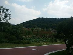 -龙寺生态园