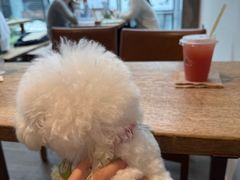 -去茶山(新光里店)