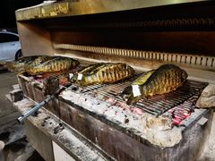 -杨合林啊兰烤鱼