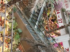 -双季花艺园艺市场(浦东店)