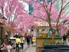 -首开·龙湖成都西宸天街