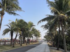 -中澳友谊花园