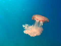 -福州罗源湾海洋世界旅游区