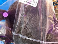 -盒马鲜生(红莲店)