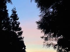 -重庆睡佛山森林公园