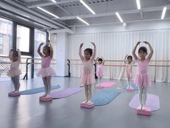 -中央芭蕾舞团·中芭艺蕾(酒仙桥明星校区)