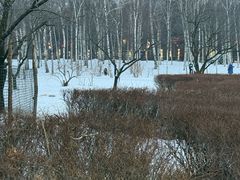 -长春市南湖公园