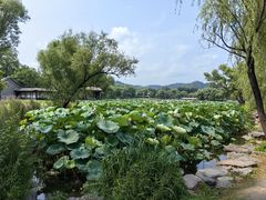-承德避暑山庄景区