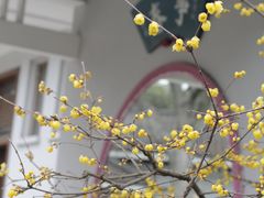 -无锡梅园公园