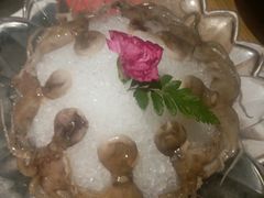 -煲宫猪肚鸡(昆山金鹰国际购物中心店)