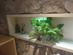 -麦子MaiMassage(打浦桥店)