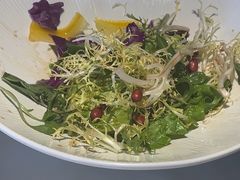 -大鸭梨烤鸭(望京店)