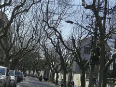 -上海中医药大学-食堂