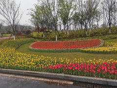 -两江国际影视城