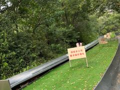 -富斯特索道