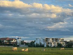 -Chom Cafe and Restaurant