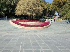 -深圳国际园林花卉博览园