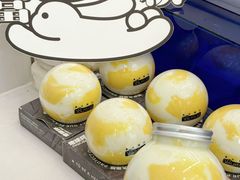 -白色日记·手作酸奶(麦凯乐店)