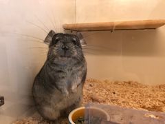 -龙猫仔乐园(惠福东路店)