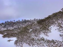 -苍山感通索道