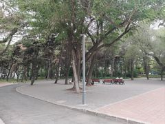 -长春市南湖公园