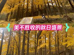 -阳台山自然风景区