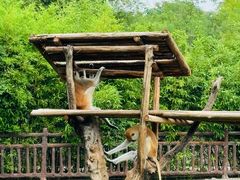 -济南野生动物世界